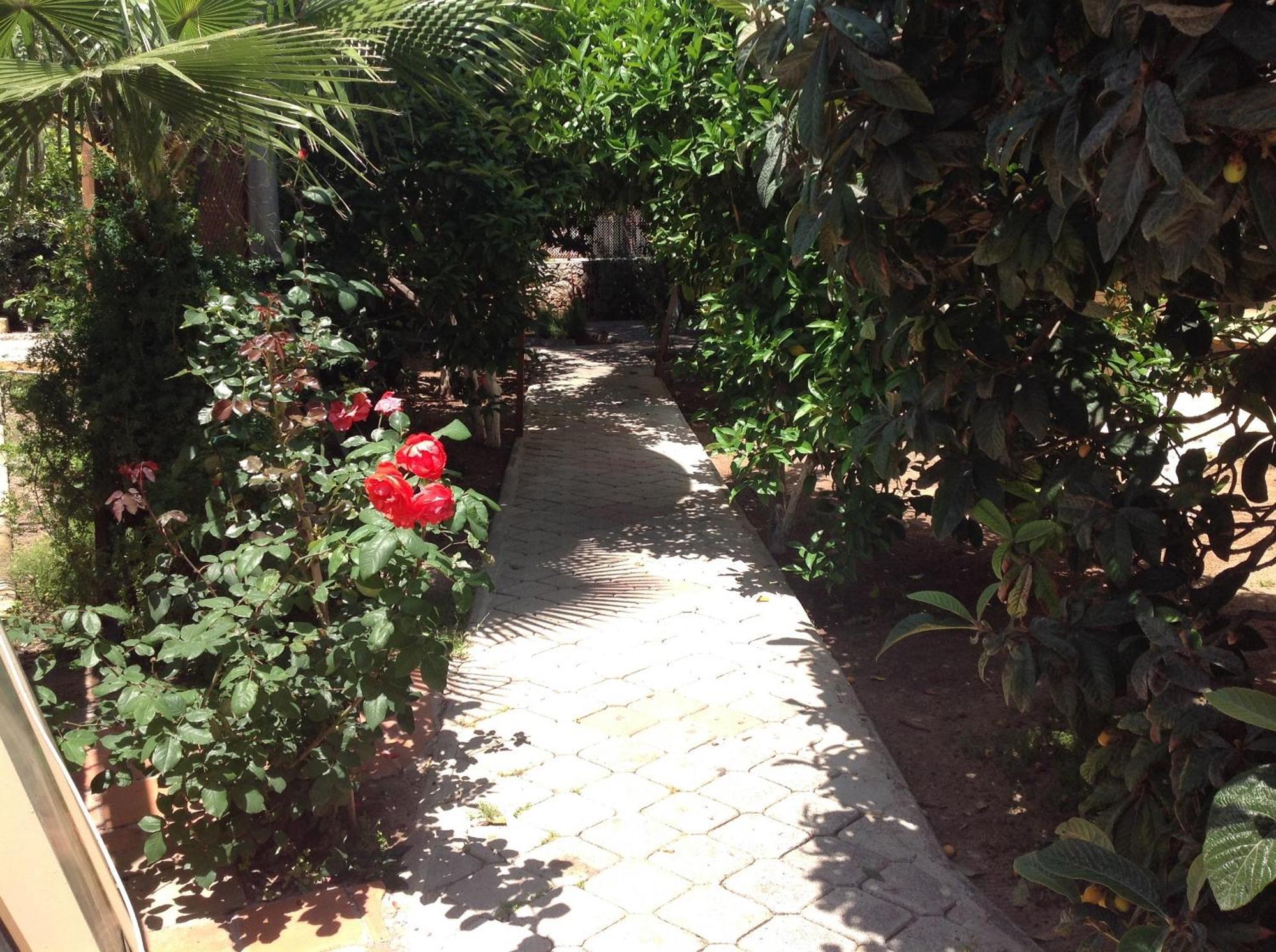 Ilkiz Beach Hotel Oludeniz Exterior photo