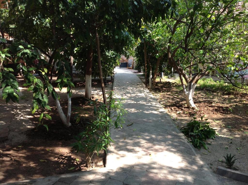 Ilkiz Beach Hotel Oludeniz Exterior photo